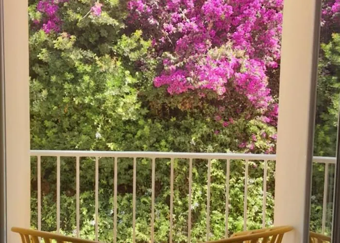 Apartmán Gites.sassone A Sant Ambroggio, A 50m De La Mer. Lumio (Corsica)