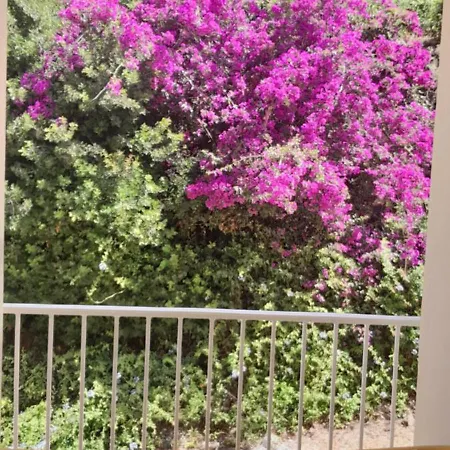 Gites.sassone à Sant Ambroggio, à 50m De La Mer.