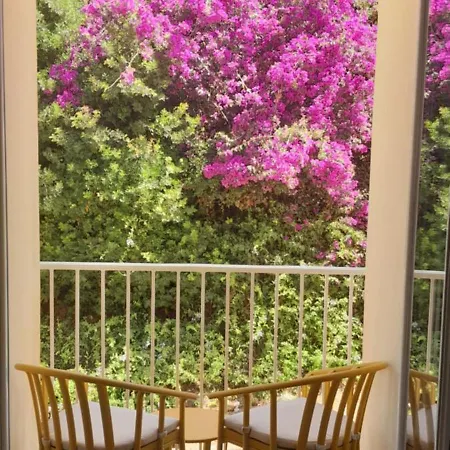 Apartment Gites.sassone A Sant Ambroggio, A 50m De La Mer. Lumio (Corsica)