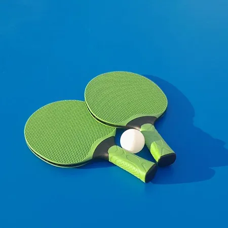 Gites.sassone à Sant Ambroggio, à 50m De La Mer. * Lumio (Corsica)