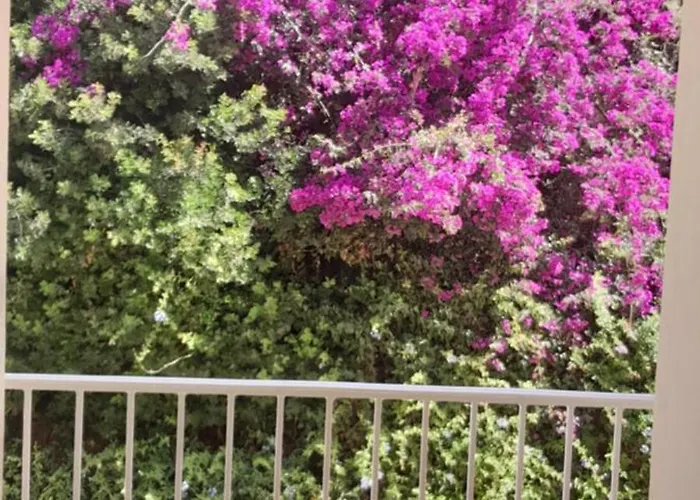 Gites.sassone A Sant Ambroggio, A 50m De La Mer.